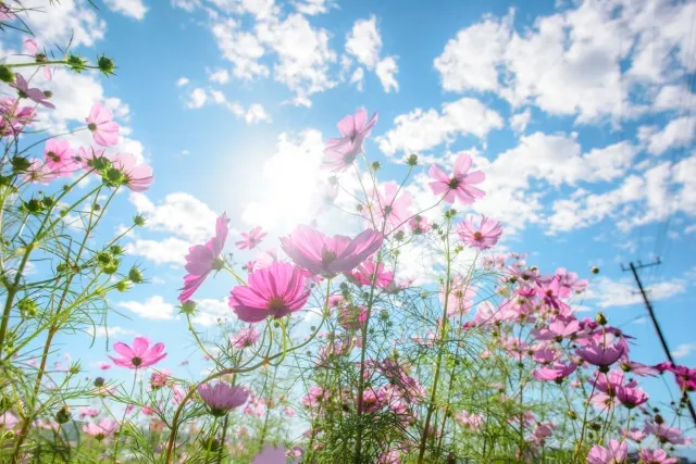 90分・120分コース